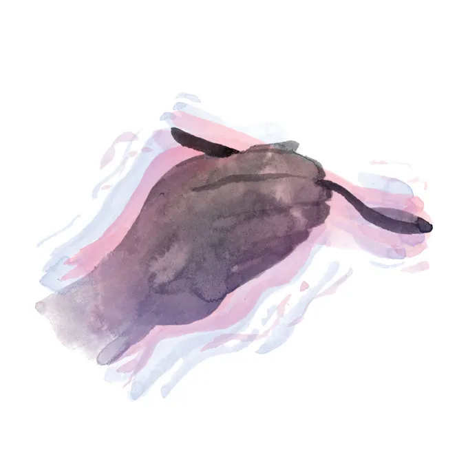 An illustration of a hand holding a spoon.