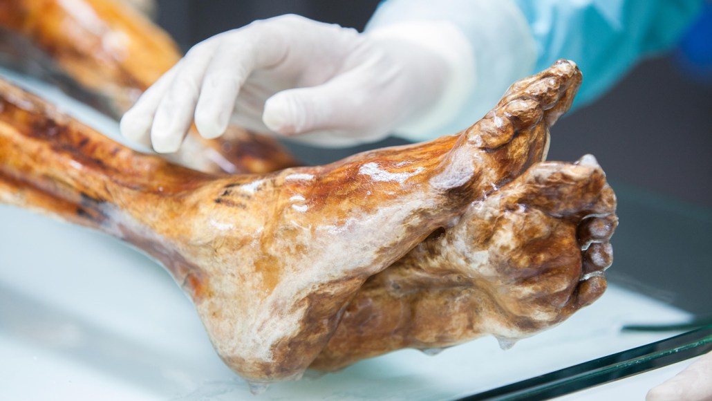 A image of Otzi the Iceman's feet