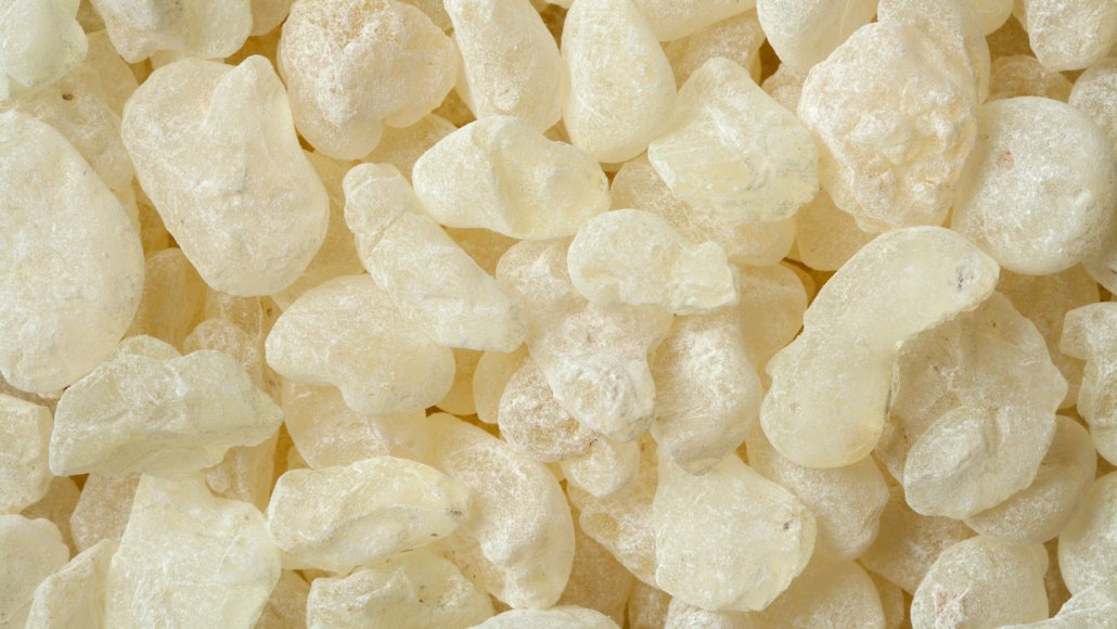 A pile of various oblong-like, bone-colored pieces of mastic gum.