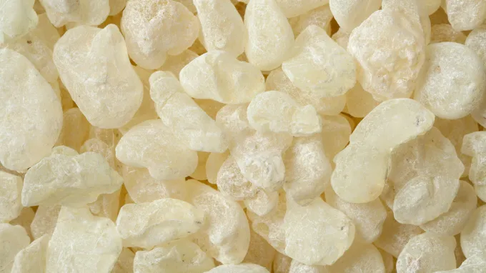 A pile of various oblong-like, bone-colored pieces of mastic gum.