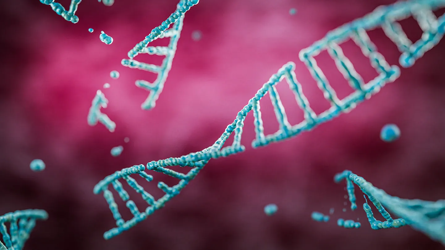 Newborn mouse neurons break and repair DNA during brain development