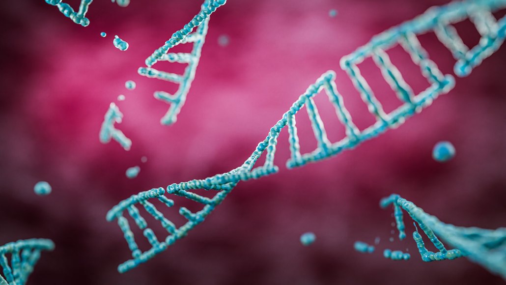 Blue, broken double-helix DNA strands stretch across a pink background.
