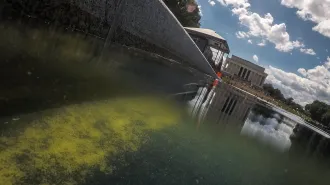 A photo taken from the perspective of the surface of the Reflecting Pool, with green algae covering the water and the Lincoln Memorial showing in the background