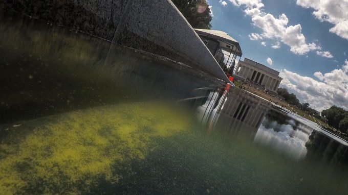 A photo taken from the perspective of the surface of the Reflecting Pool, with green algae covering the water and the Lincoln Memorial showing in the background