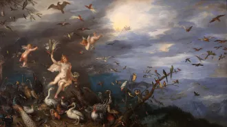 The 1611 painting “Air,” depicting cherubic pale figures against a dark sky, with birds of all kinds perched on branches and in flight