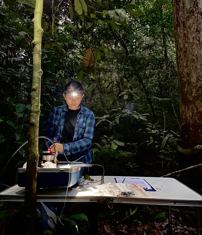 A researcher working on an instrument sitting on a table in a rainforest setting.