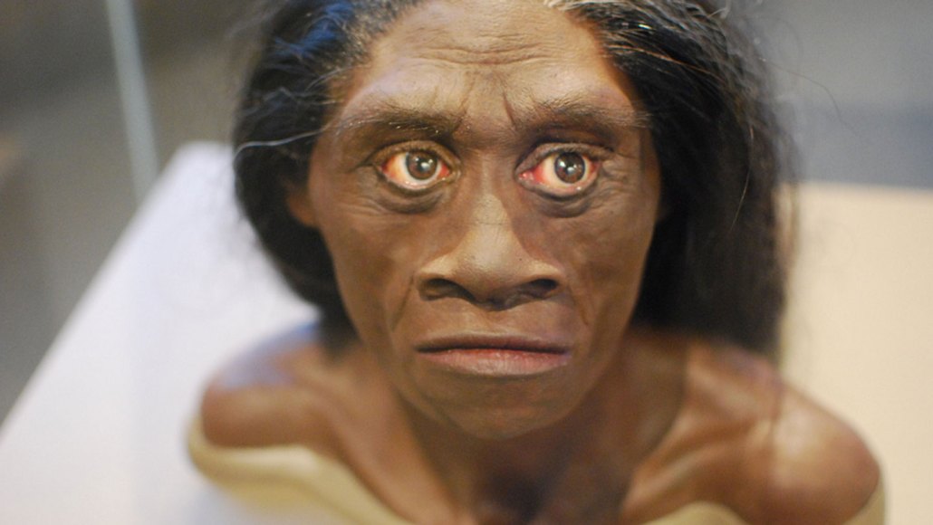 A reconstruction of the face and upper body of hobbit Homo floresiensis.