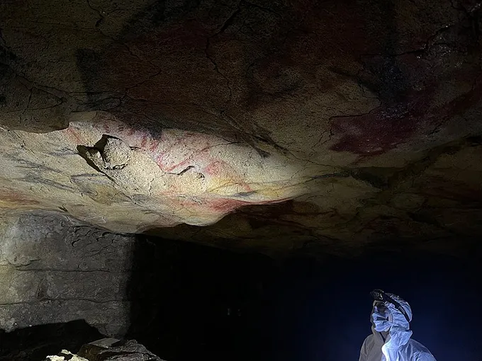 A photo of a researcher in PPE looking up at prehistoric paintings on the cave's ceiling.
