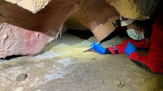 A photo of a researcher in a mask and gloves examining the floor of a cave.