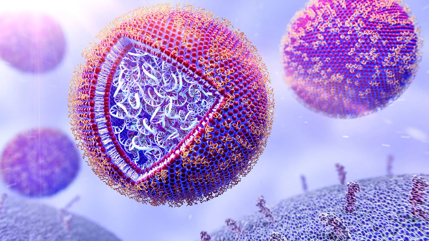 An illustration shows pink and purple bubbles representing mRNA lipid nanoparticles. In the front left center of the image, one of the bubbles has a triangular cutout that reveals a mass of mRNA inside. The cut away also reveals the structure of the membrane surrounding the RNA.
