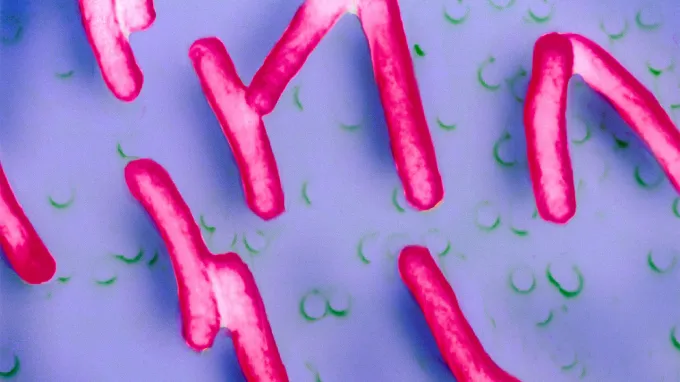 Illustration of Shigella sonnei bacteria that cause infections