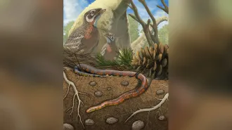 An illustration of a prehistoric snake burrowing underground with birds and dinosaurs in the background.