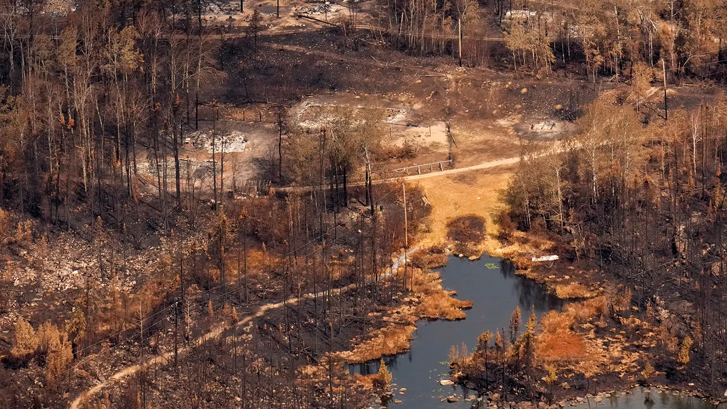 A photograph of a burned landscape on July 22, days after a wildfire spread through an Ojibwa community in Ontario, Canada.