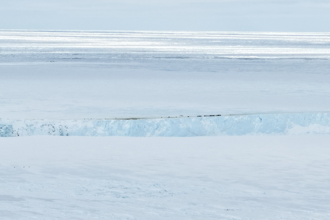 An ice shelf with small black specks — emperor penguins — huddling along the edge is shown from far across an ice field