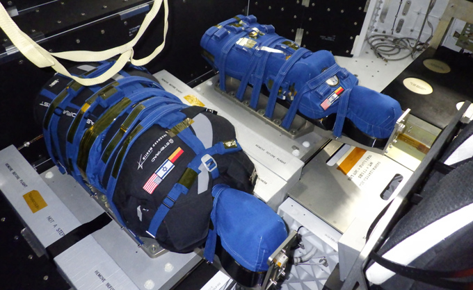 Two torsos lie side-by-side, with one wearing a black vest, in this image taken as NASA was preparing for the Artemis I uncrewed space flight around the moon to test the mission technology.