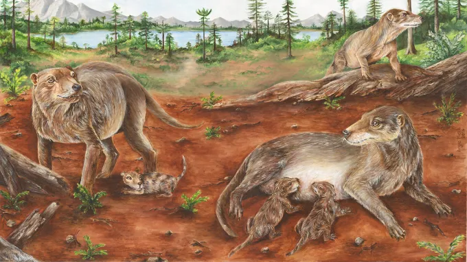 Artist's depiction of a pregnant mammal ancestor Chiniquodon theotonicus and another nursing two young.