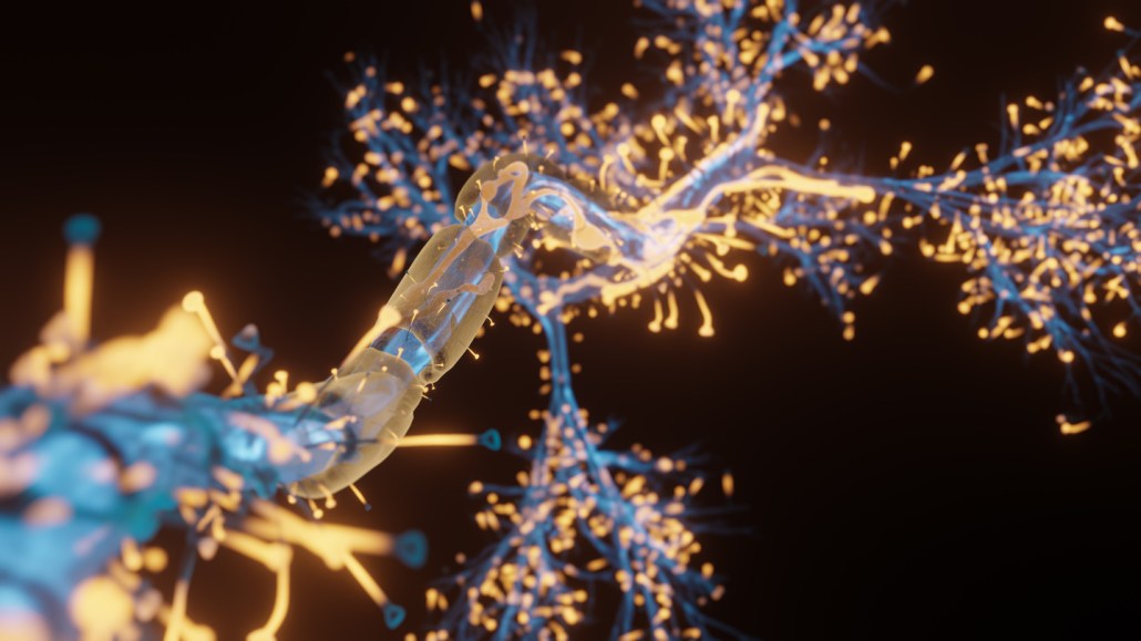 A glassy thin nerve cell, shown in an illustration, has orange bright areas along its tendrils, shown as blue tree-like branches.