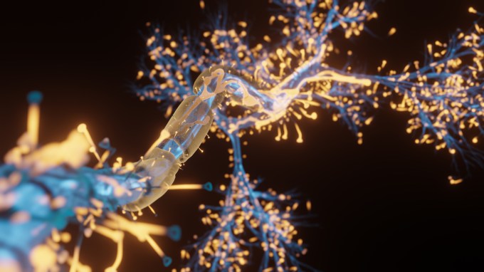A glassy thin nerve cell, shown in an illustration, has orange bright areas along its tendrils, shown as blue tree-like branches.
