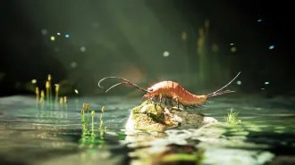 An illustration of an ancient insect with 24 legs
