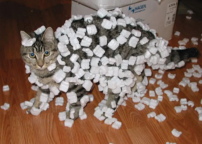 A cat stands on a wooden floor covered in white packing peanuts, many of which cling to its fur due to static electricity.