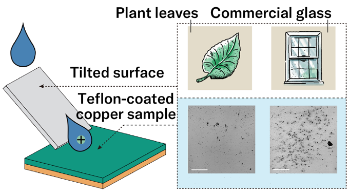 A diagram on the left shows how a drop of water picks up an electrical charge as it slides down a tilted surface; a grid on the right shows how that process can corrode metal. Two top boxes show drawings of examples a drop might slide over -- a leaf and a window; corresponding microscopic images of a teflon-coated copper sample show speckles where that water caused corrosion.