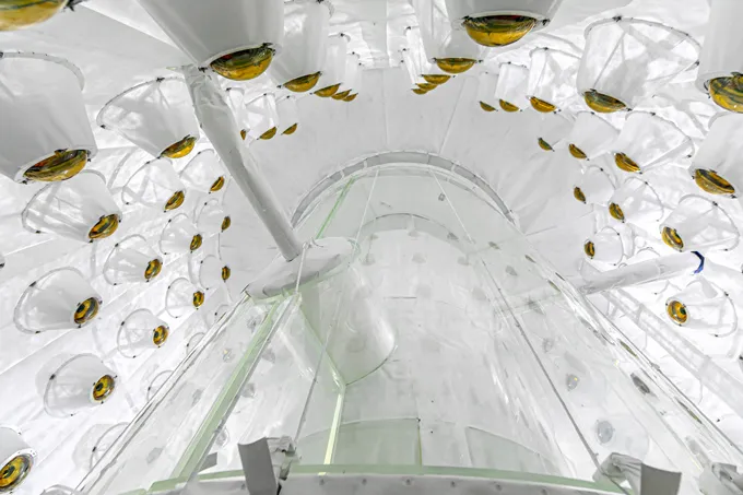 The interior of the LZ particle detector shows a large translucent tank with gold photomultiplier tubes surrounding it.