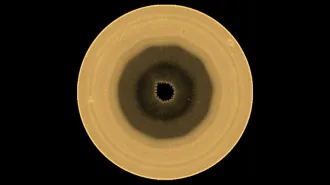 A golden colored orb has a very dark center, surrounded by lightening colors as you move outward. It shows a weird weather pattern at Saturn's south pole.