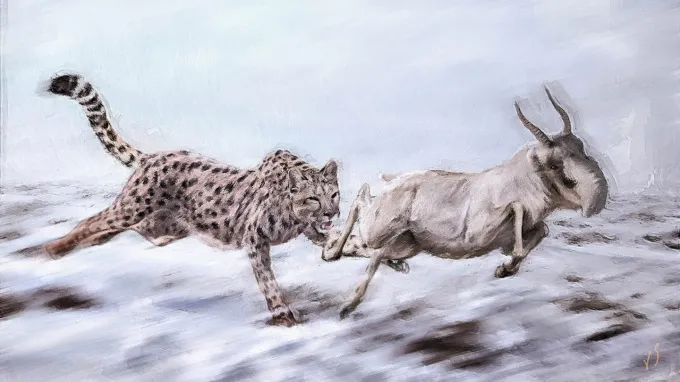 An illustration shows a slender cheetahlike cat chasing an antelope with a big nose across a barren landscape