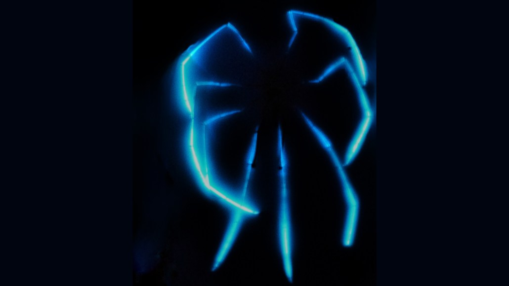 Eight long sea spider legs glow blue in the dark.