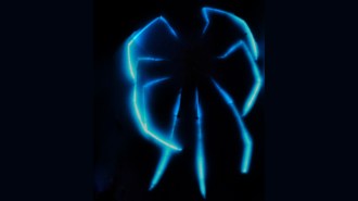 Eight long sea spider legs glow blue in the dark.