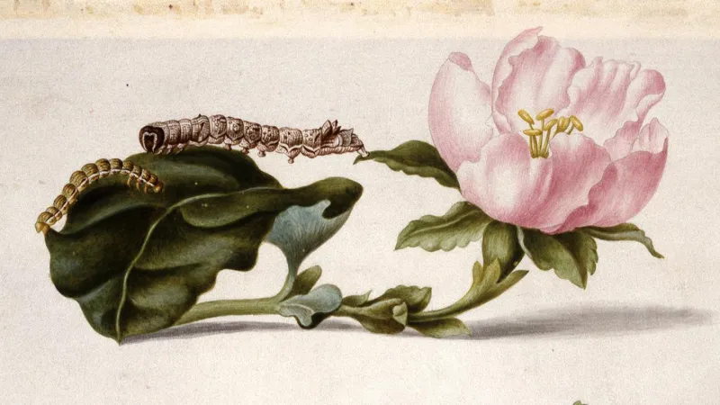 Historical art can hide scientific secrets
