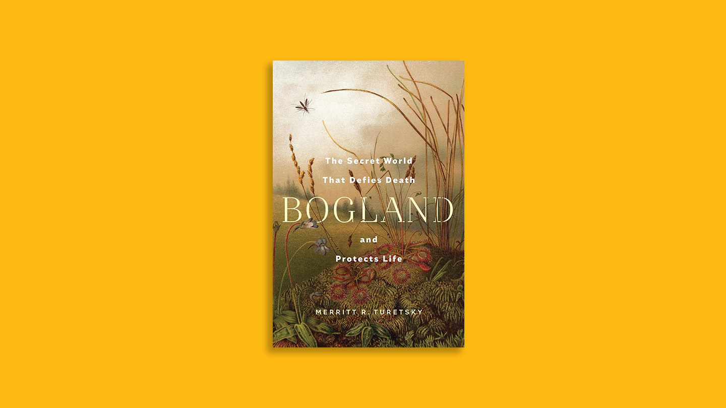 Bogland explores beautifully strange ecosystems