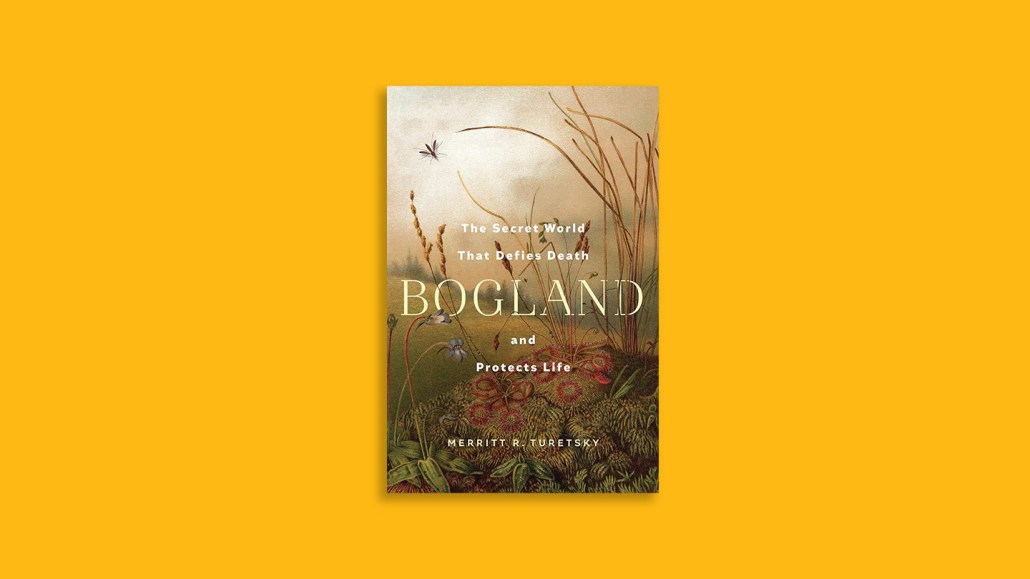 book cover image: Bogland