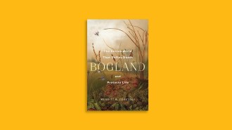 book cover image: Bogland